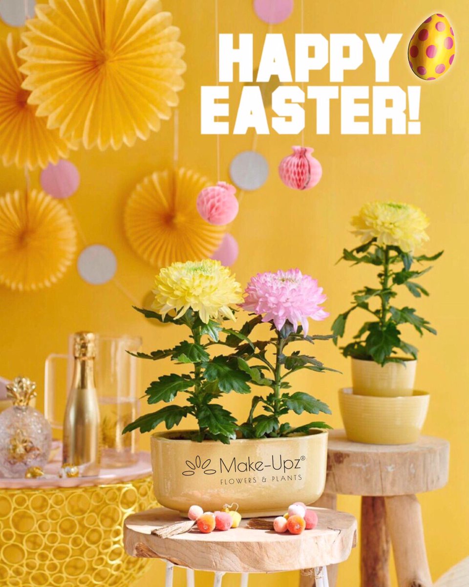 Happy Easter! Enjoy the sun this Easter weekend, ☀️.

#easter #happyeaster #happy #egg #yellow #enjoythesun #pasen #vrolijkpasen #chrysanne #chrysanthemum #magnum <a href="/Lionplant/">Hans van Leeuwen</a>