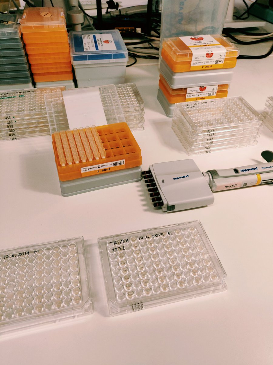 catiasper's tweet image. My current project implies a cycling experiment. It means that I have to come to the lab everyday, twice per day, to give my #bacteria some love ❤️. Despite of being amazing, bacteria are also needy creatures with no sense of &apos;weekend&apos; or &apos;holiday&apos; 😅
#allforscience #SciCommUU19