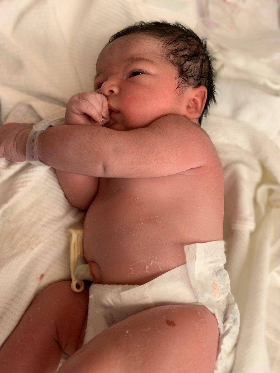 juiceonbass's tweet photo. Please join us in welcoming Ezra Arlen Sohl-Williams to the world! Holy moly, what an incredible feeling! ❤️ https://t.co/NsQHoQ3wRk