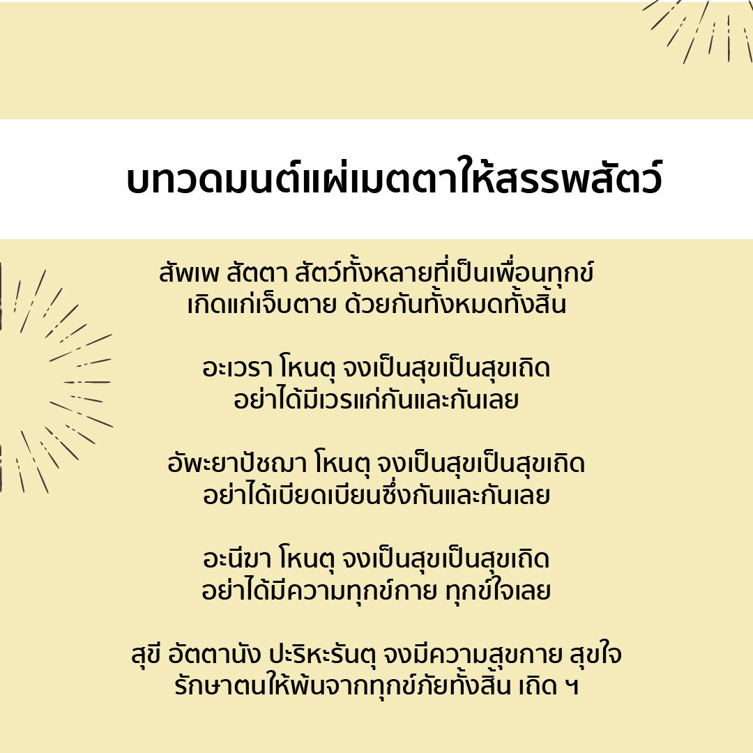Shopee Thailand on Twitter: Shopee Thailand On Twitter:
