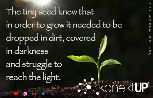 konektUP's tweet photo. This analogy is true for Entrepreneurs too!

https://t.co/THJ8nH78xx
#konektup #startup #entrepreneur #business #success #entrepreneurship #marketing #motivation #hustle #money #smallbusiness #startuplife #socialmedia #branding #entrepreneurs #businessman #entrepreneurlife https://t.co/I3PKNTeiaw