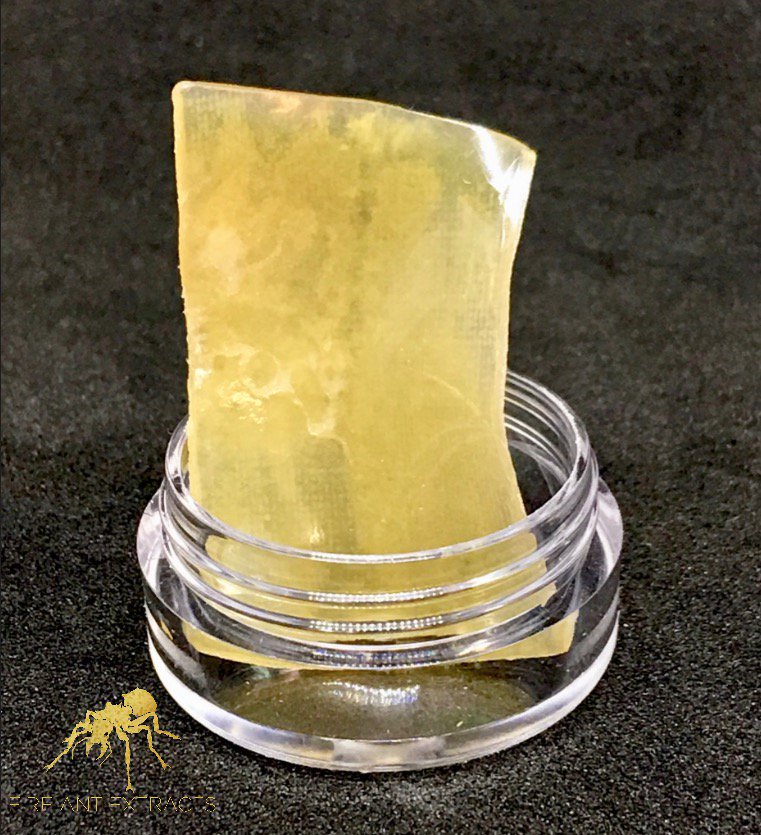 cecreationllc's tweet photo. #FireAntXtract #cecreationsllc #LiveResin #concentrate #extract #love #golden #clear #shatter #terpy #dabs #Wax #instagood #litaf #photooftheday #beautiful #happy #instadaily #follow #picoftheday #goodvibes #follow4follow https://t.co/OtYvqAL5Gn