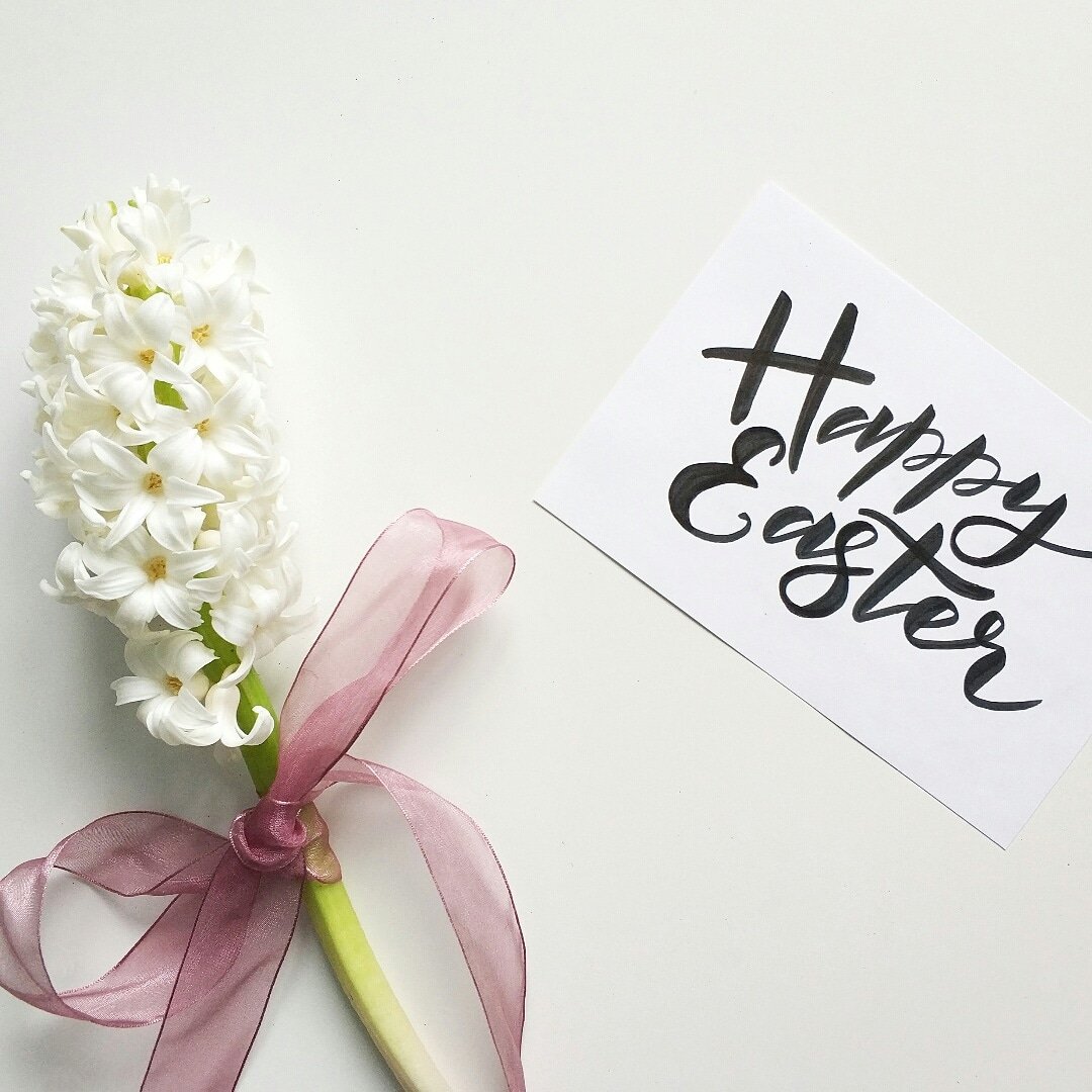JessjaySongbird's tweet photo. Happy Easter everyone !!! Cue the 'dop-not-buns, choices,  family time and love  #easter2019 #faith #hope #love #beblessed #family #longweekend #yay https://t.co/5yZNlYc3Uu