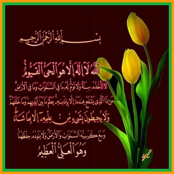jamagedali's tweet photo. @Neena_Alli @NajafZahra6 @Neeha2000 @Princes43869728 @nahasayyed10 @Me__Nisha @aaliyanaz_sayz @akhtarjamshed15 @arfeena35 @AhmedJackle @iDua_Fatima @zehra_fatima12 @KhusiKiBabyDoll @actressxpress @kanishaikh @TariqBangash13 @lubnaarslan @abbaslaila5 @ZirwaZainab https://t.co/E82xiWVc9L