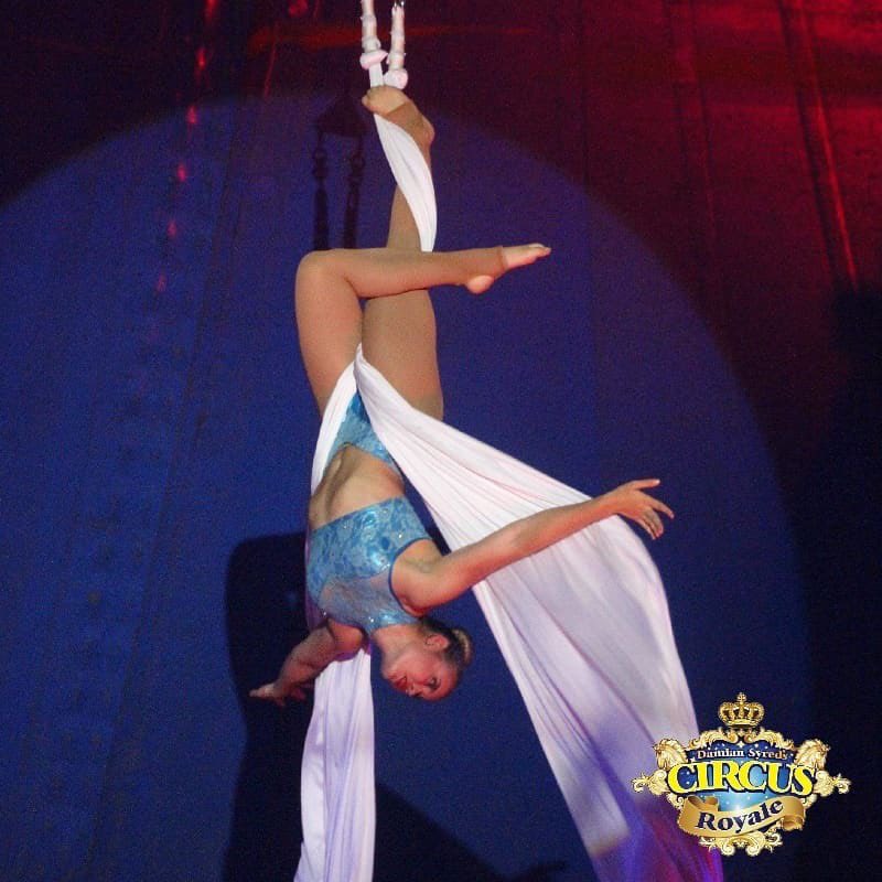 CircusRoyale's tweet photo. Why not make your way down to #Cranbourne Home - Behind the #bunnings and check out Circus Royales 48th annual tour show
➡️ ALL NEW SHOW 
➡️ INTERNATIONAL ACTS 
➡️ FUN FOR ALL AGES 
Be Quick - Tickets selling fast 
.
🎟https://t.co/ynwWAlNFgr 
#circus #circuslife @DamianSyred https://t.co/mknOfxEvis