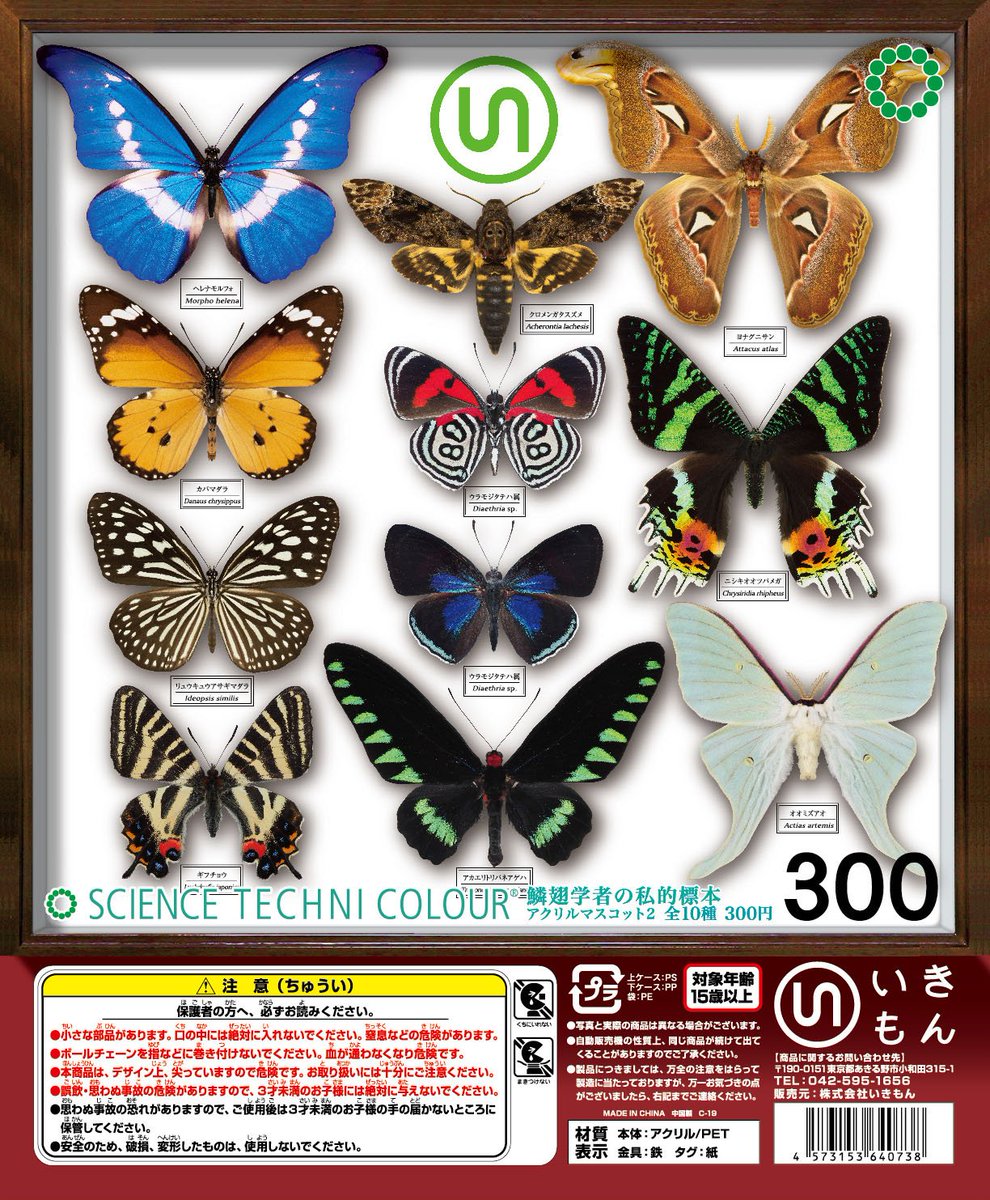 NTC_ikimon's tweet photo. 【お知らせ】
「鱗翅学者の私的標本アクリルマスコット2」、「なんかへんな生きものアソート」も公式通販で取り扱い中ですので、是非ともご利用ください！

↓           ↓           ↓
https://t.co/fln3dBqBDP https://t.co/j1MtliVvDh
