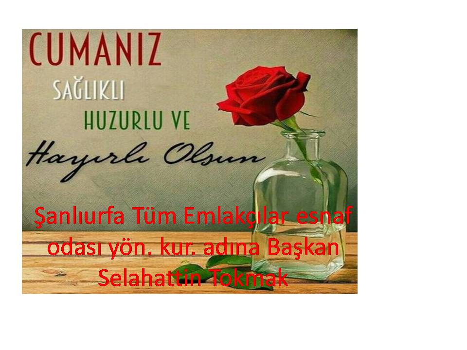 ŞUTEM (@sutem63) on Twitter photo 