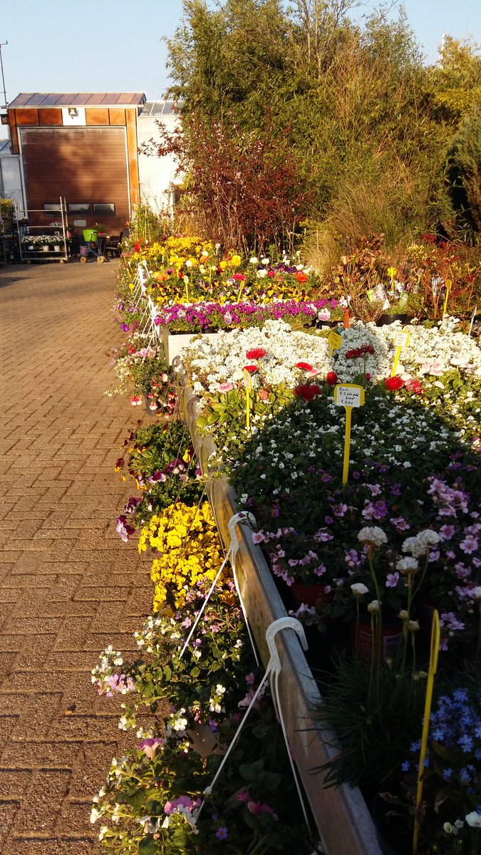Orchideeentuin's tweet photo. Het hele weekend #bloemetjesmarkt bij Reinhart Orchideeën.  Tuinplanten, Orchideeën en nog veel meer. 1ste en 2de Paasdag open.  https://t.co/IuWR4f9y6e  #orchidee  #pasen https://t.co/yaH1gDQRKe