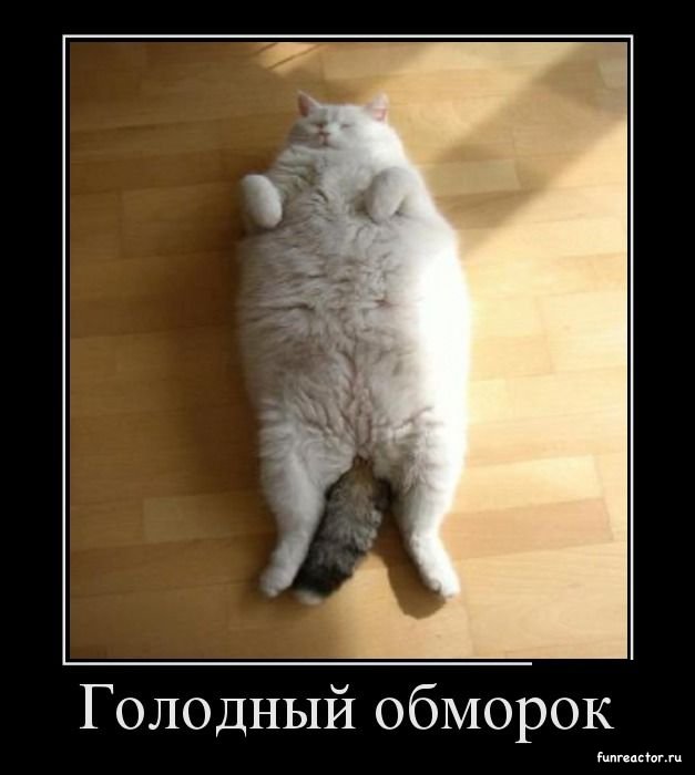 Картинки обморок смешные, мужчине здоровья