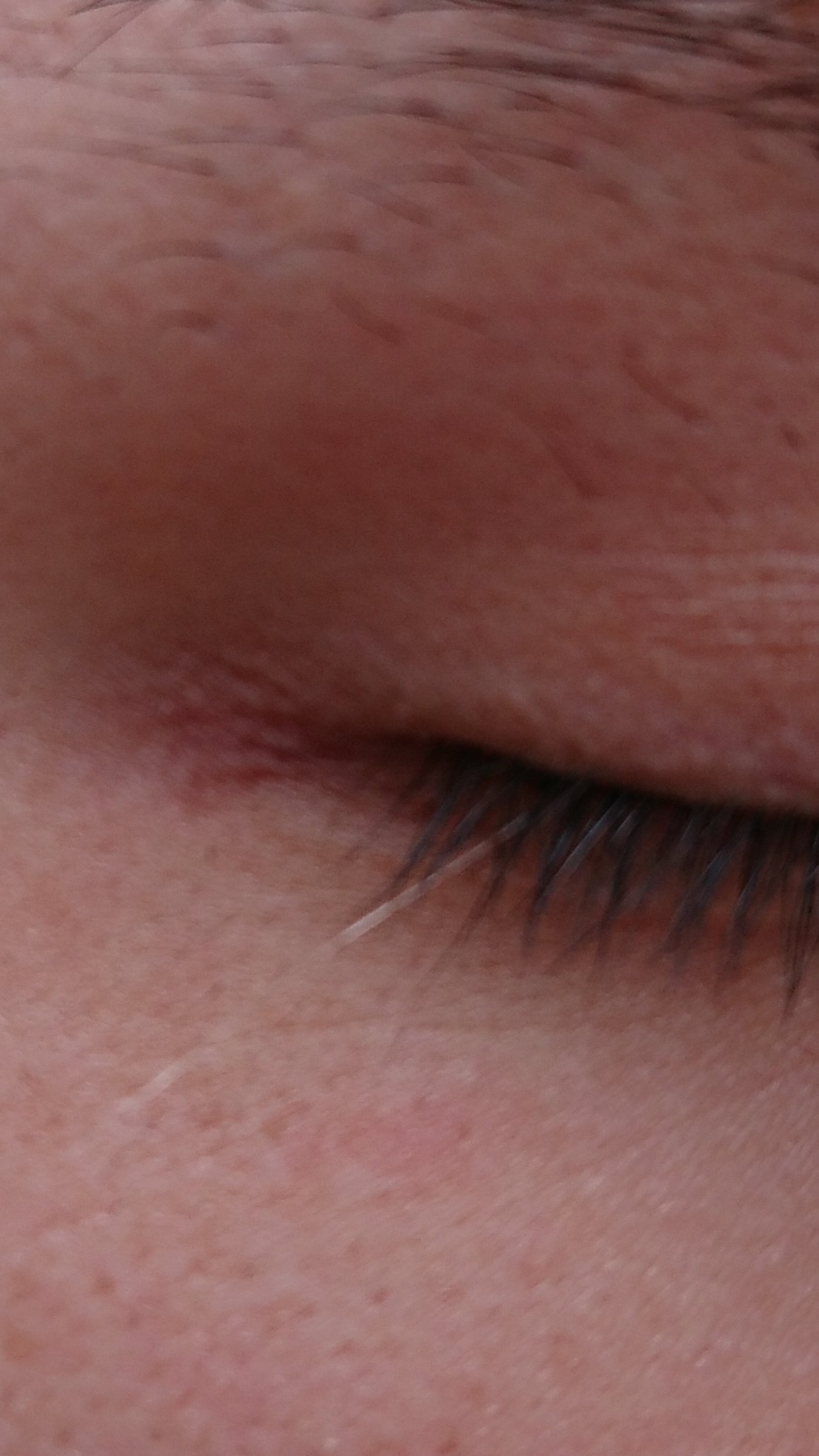 تويتر 川島零士 声優 على تويتر Gentokukumazaw あ 宝毛ある って気づいてたけど 言わなかった