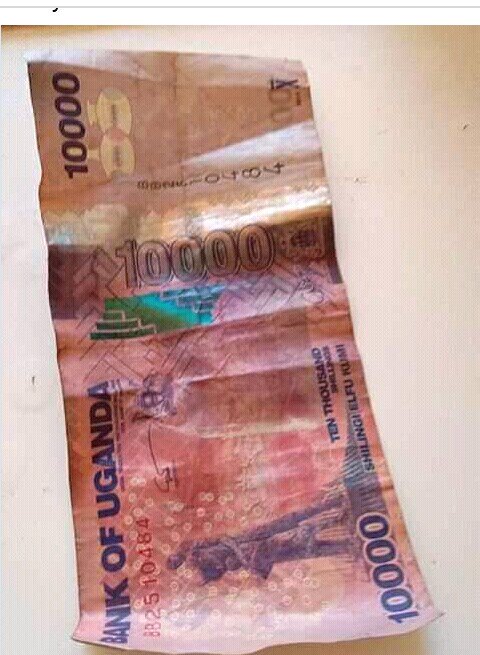 AnthonyDaWhyte's tweet image. Happy easter