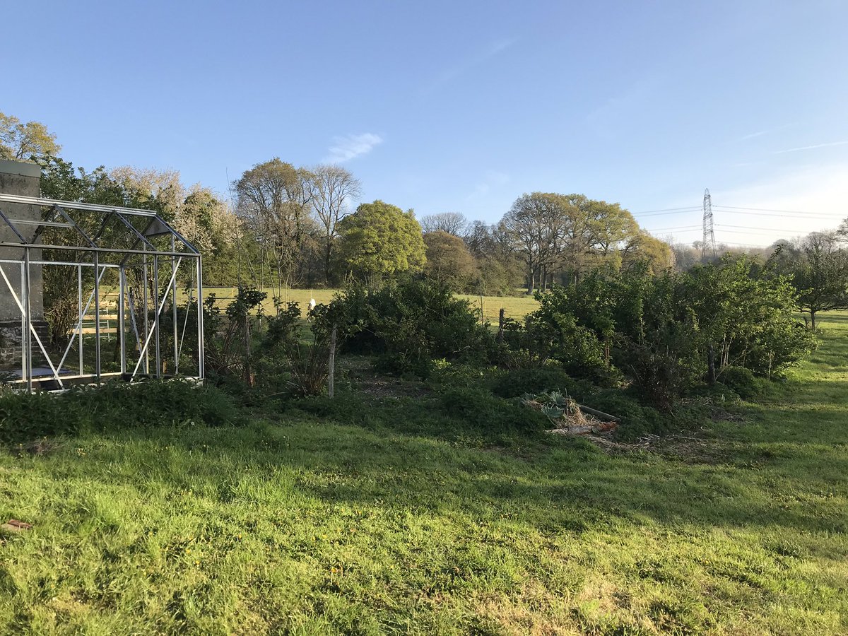 Crafty_Wombat's tweet image. After watching @GWandShows and reading the new @GWmag there’s nothing left to do but start clearing! #FirstSpring #NewHome #stingers