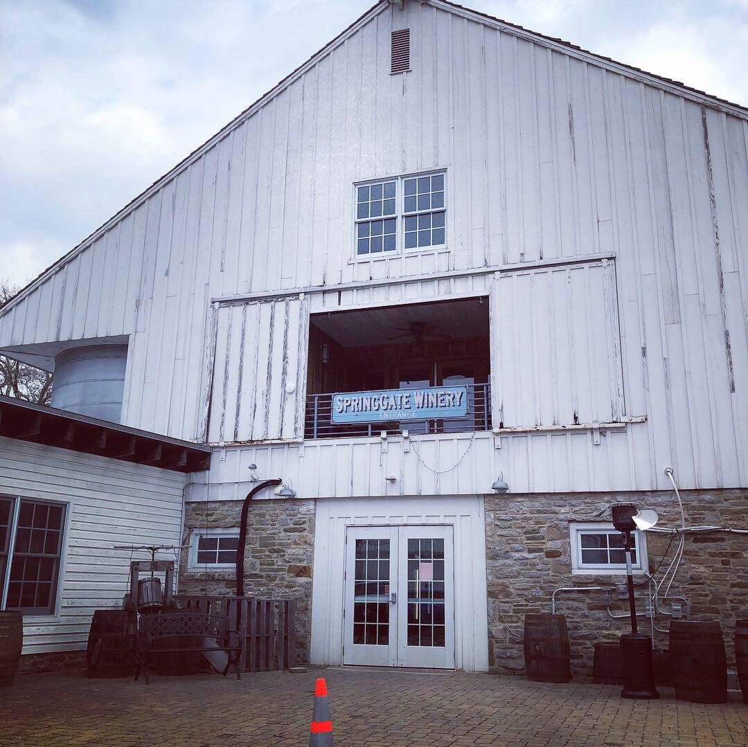 panurses's tweet photo. It was Wine Slushy Hour at Spring Gate Vineyard 🍷 Thank you to PA Trauma Systems Foundation and Geisinger for attending! We discussed about career opportunities. Don’t miss out on our next Career & Networking Event!!! 👩⚕️ 👨⚕️ @GeisingerHealth @GeisingerMedia #panurses https://t.co/chN7xc9XoQ
