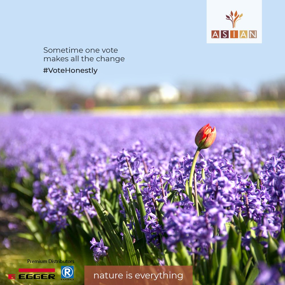 AsianPrelam's tweet photo. Sometime one vote makes all the change. #VoteHonestly #AsianPrelam
.
#India #VoteIndia #Nation #Future #GoodFriday #FridayFeeling #EveryVoteCounts #ModularFurniture https://t.co/o9raEVeZZo