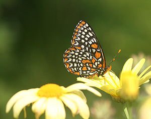 JoelUbiquity's tweet photo. @DrArunGhosh @GhoshMedical glad to be putting so many people with hayfever symptoms onto you for IV treatment especially given the reported ‘pollen bomb’ this Easter bank holiday weekend https://t.co/1KzL8njTE6