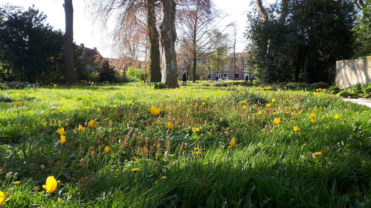 JanJelleJongsma's tweet photo. Vandaag voor het eerst de Martenatuin achter @museummartena in Franeker bezocht. Prachtige #landschapstuin met vele bloeiende #stinzenplanten. https://t.co/JmC7eKB7Nu