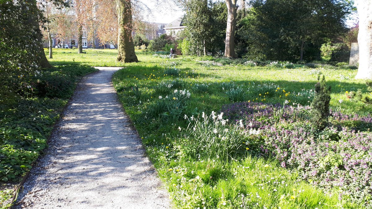 JanJelleJongsma's tweet photo. Vandaag voor het eerst de Martenatuin achter @museummartena in Franeker bezocht. Prachtige #landschapstuin met vele bloeiende #stinzenplanten. https://t.co/JmC7eKB7Nu