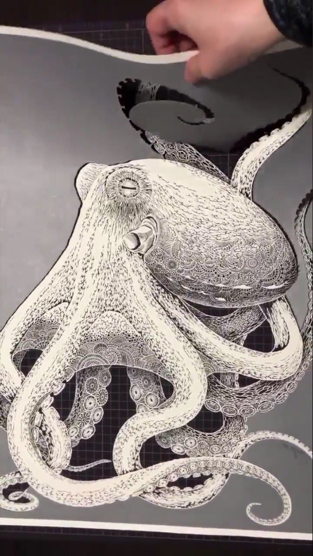切り剣 福田理代 初作品集発売中 切り絵 海蛸子 の切り抜きのみ制作タイムラプス動画です ちょっと見やすくしました٩ W و 切り剣 福田理代 初作品集発売中 切り絵 海蛸子 の切り抜きのみ制作タイムラプス動画です ちょっと見やすくしました٩ W و