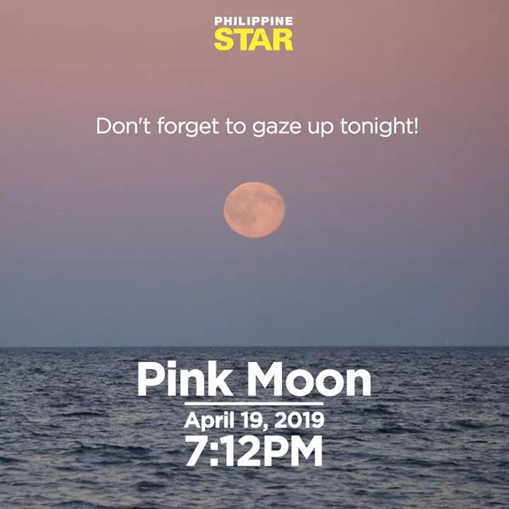dasho_gilbert's tweet photo. Not pink but still the moon tonight is so beautiful. #PinkMoon https://t.co/0YKAma4sEx
