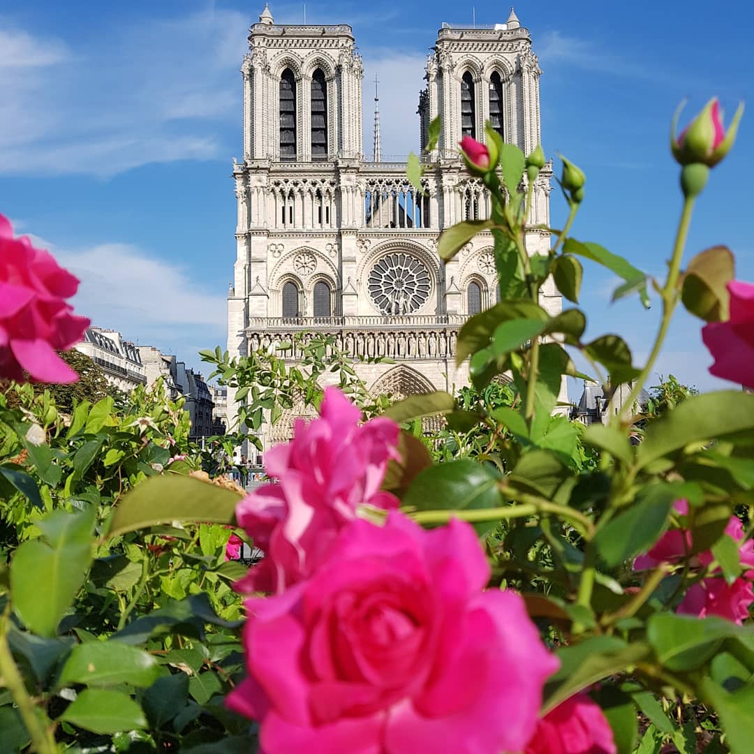 SebBette's tweet photo. #NotreDame https://t.co/S7i0dhZZui