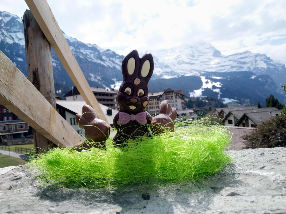 Der Gehilfe des Osterhasen hats bis nach Wengen geschafft!
Frohe Ostern und viel Glück bei der Eiersuche wünscht das ganze Belvédère Team 🐣

The easter bunny has made his way to Wengen!
Happy Easter to you and your families from the entire Belvédère team 🐣