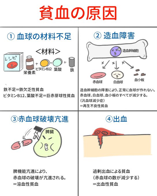 ゴロ 解剖生理イラストさん のツイート 覚 の検索結果 2 Whotwi グラフィカルtwitter分析 ゴロ 解剖生理イラストさん のツイート 覚 の検索結果 2 Whotwi グラフィカルtwitter分析
