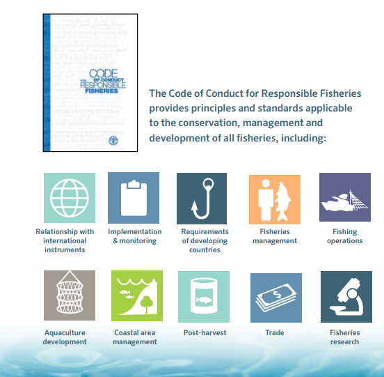 FAOfish's tweet photo. #DYK how @FAO's #CodeofConduct for Responsible Fisheries promotes principles &amp; standards of #fisheries and #aquaculture worldwide? Here are the wide range of areas it addresses. https://t.co/taWEZAcPwT