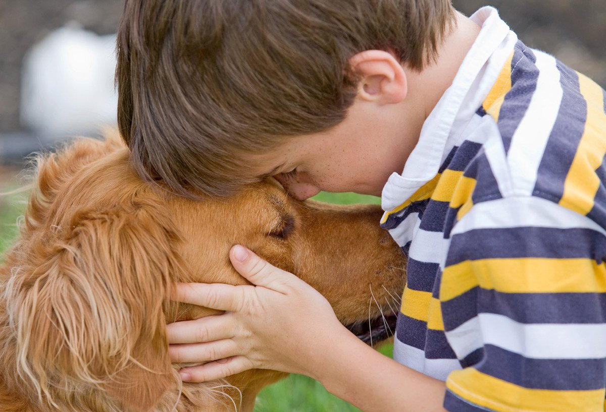 purdue emergency vet