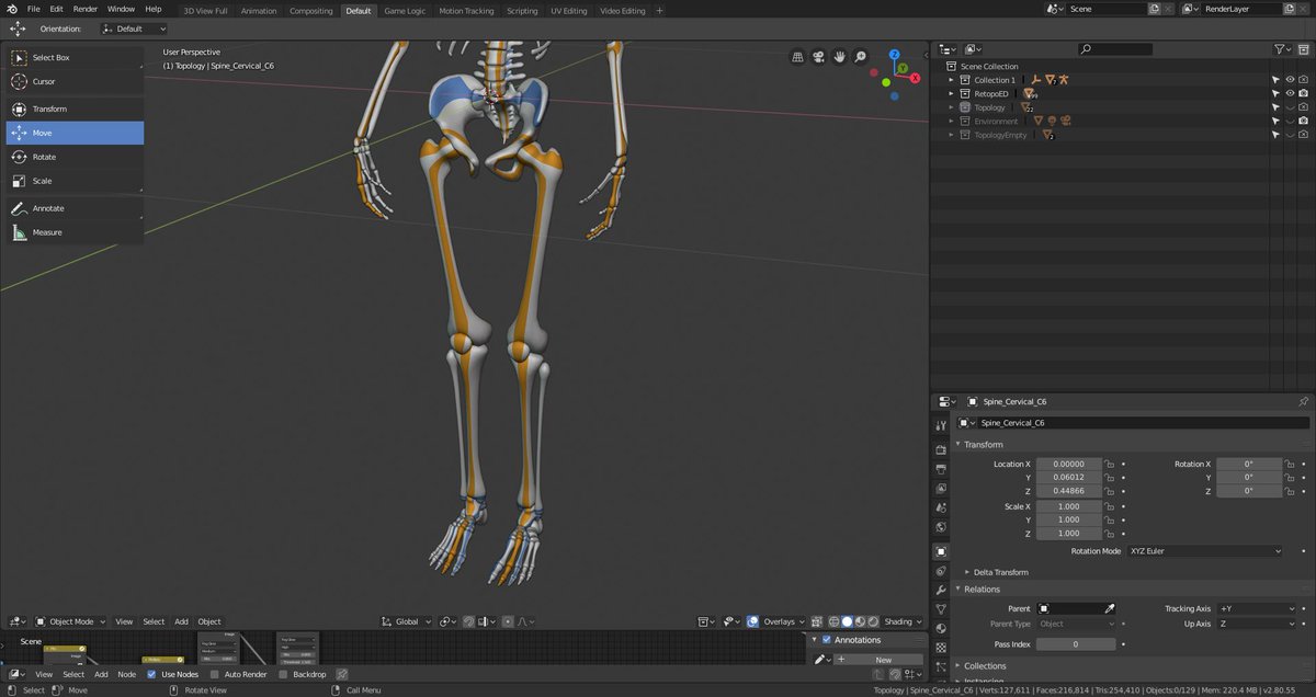 wanoco4D's tweet photo. Human bones retopology 
wip
#b3d #3dcg https://t.co/5EGxCgbn3M