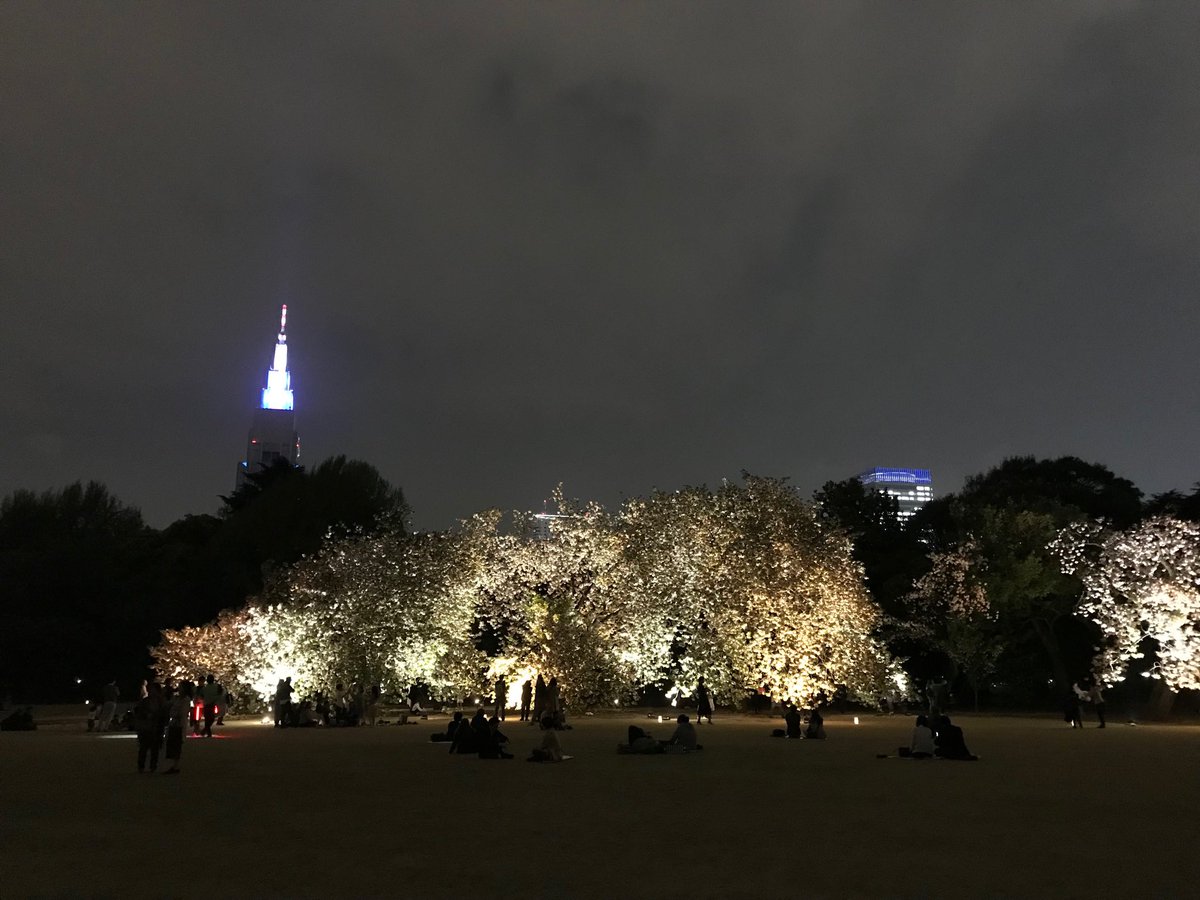 新宿御苑ライトアップ