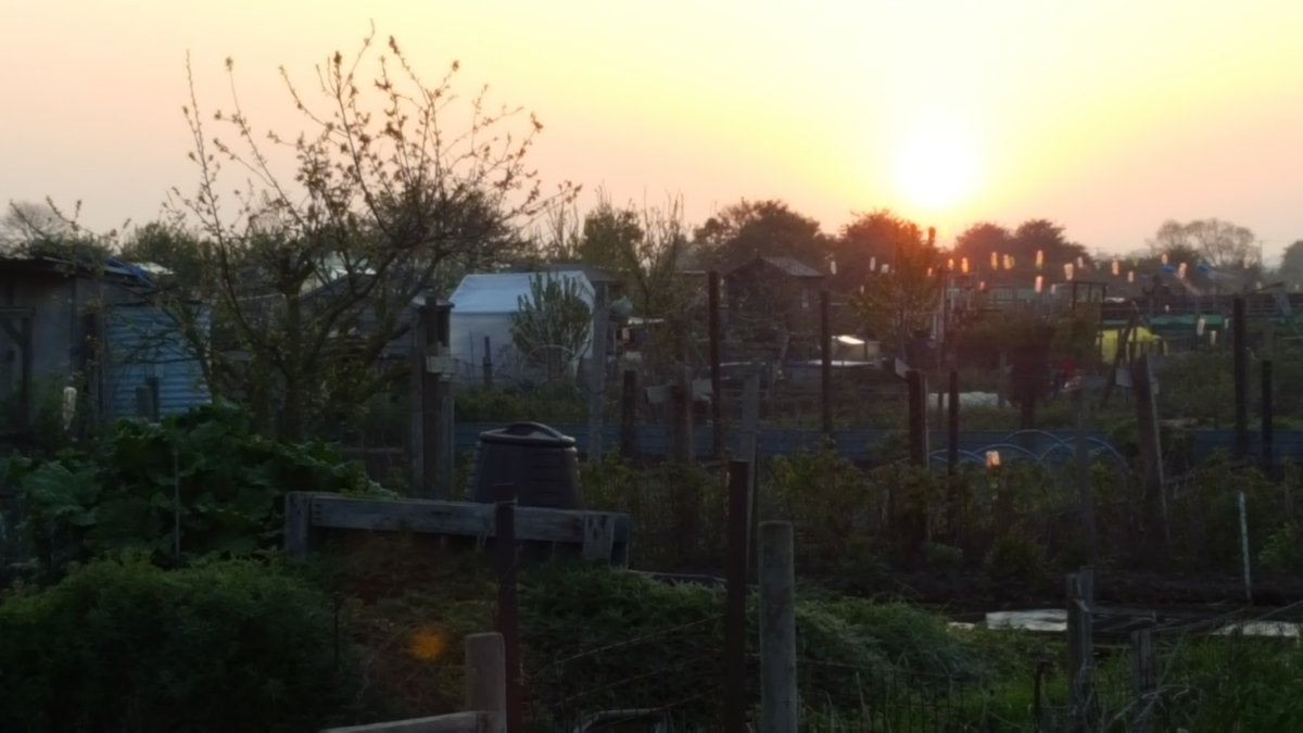 bournepatto67's tweet photo. Busy early morning on #allotment spud planting main crop at #sunrise on #eastergoodfriday as per tradition @LincsSkies @sm28987193 @MrsSouthwoldPat @fionap196 https://t.co/Vsiyx6UVKQ