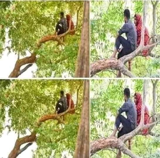 दो प्यार करने वालों को जब जब दुनिया तडपायेगी

मोहब्बत पेड़ पर चढ़ जायेगी..  😂 😂😜