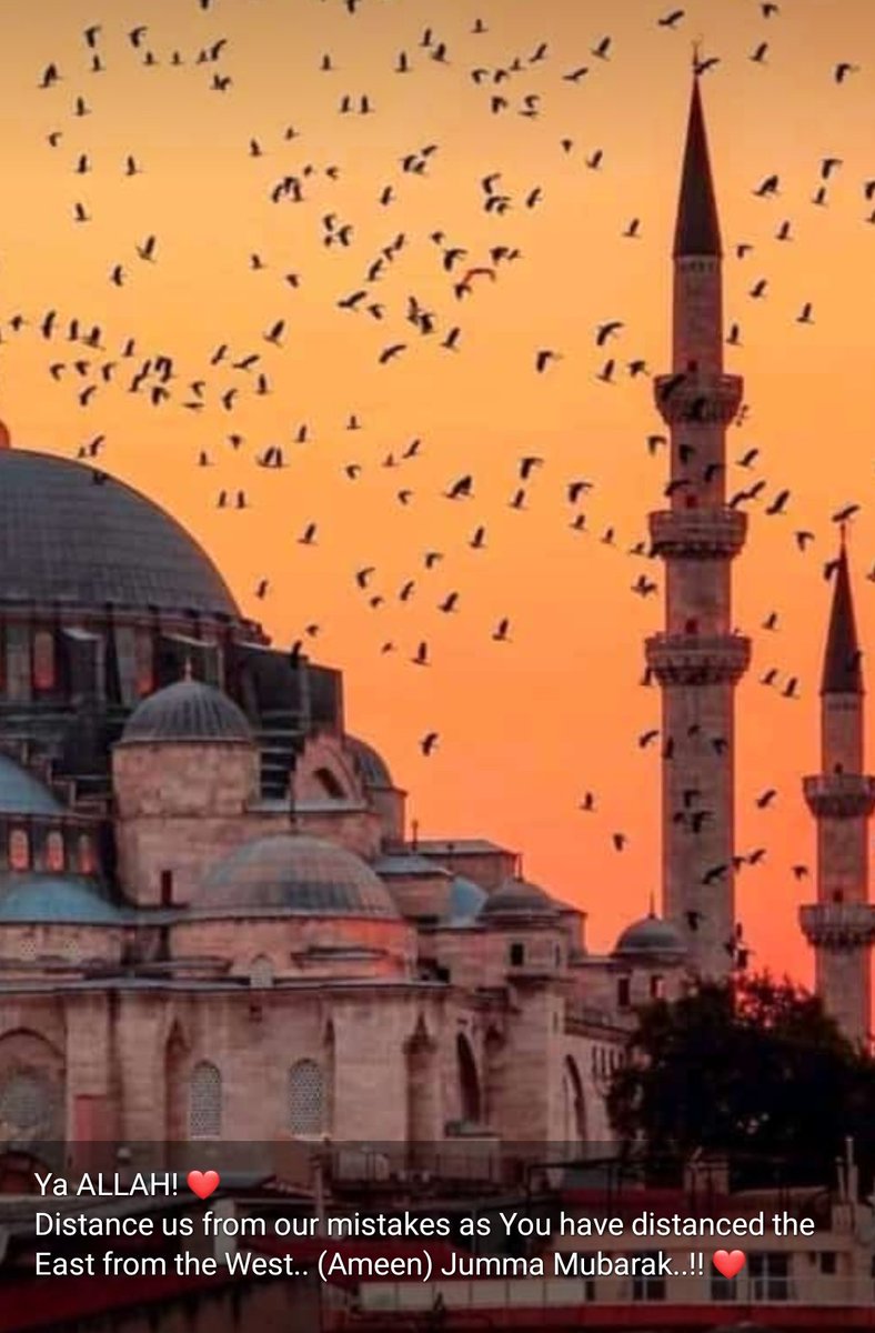 Ahmad Mushtaq tweet media