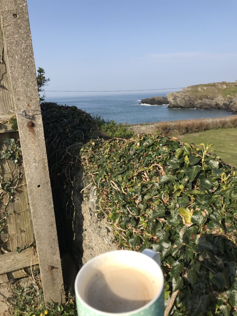 GemmaBo23's tweet photo. Morning 🌞 #happyplace #porthypost #angelsey #caravanview https://t.co/mBaZR4kBc5