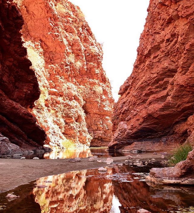 Simpson’s Gap in the Macdonnell Ranges, just west of Alice Springs, Northern Territory - Australia. 
#tv_australia#wow_australia2019#mynikonlife#icu_aussies#1more_australia#pocket_australia#australiatouristguides#hey_ihadtosnapthat#ig_discover_australia#… bit.ly/2Ir1lyJ