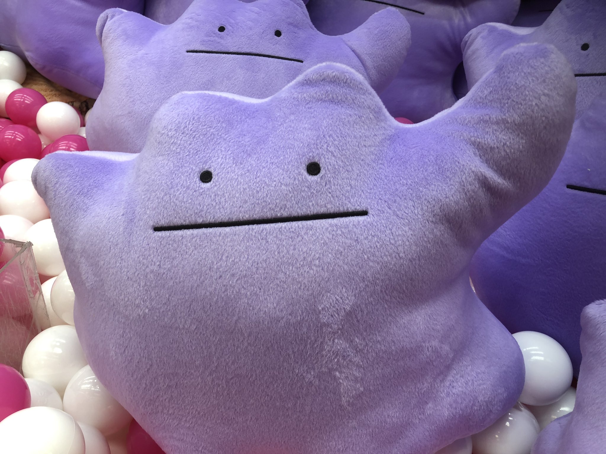 タイトーステーション 大宮店 على تويتر 1fクレーンゲームコーナーより ポケモンのメタモンの大きなぬいぐるみが登場中 つぶらな瞳が可愛らしいですね タイトー 大宮 クレーンゲーム ポケモン メタモン