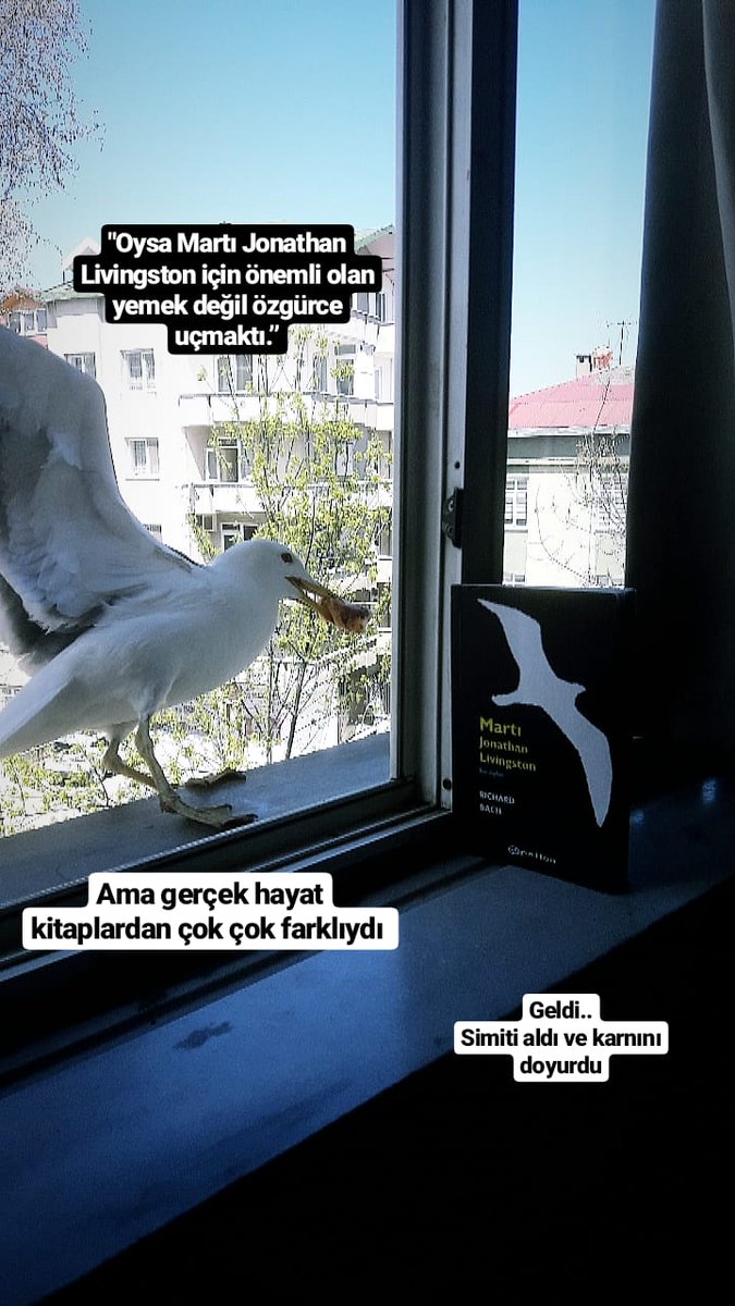 EROL5206's tweet photo. https://t.co/aHCUQk1v4M