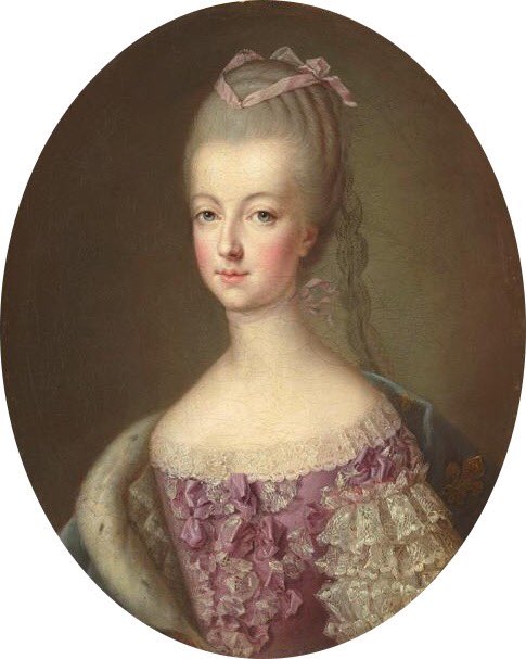 Le Lys Quotidien ⚜️ on Twitter: "Le 19 avril 1770, Louis XVI se ...