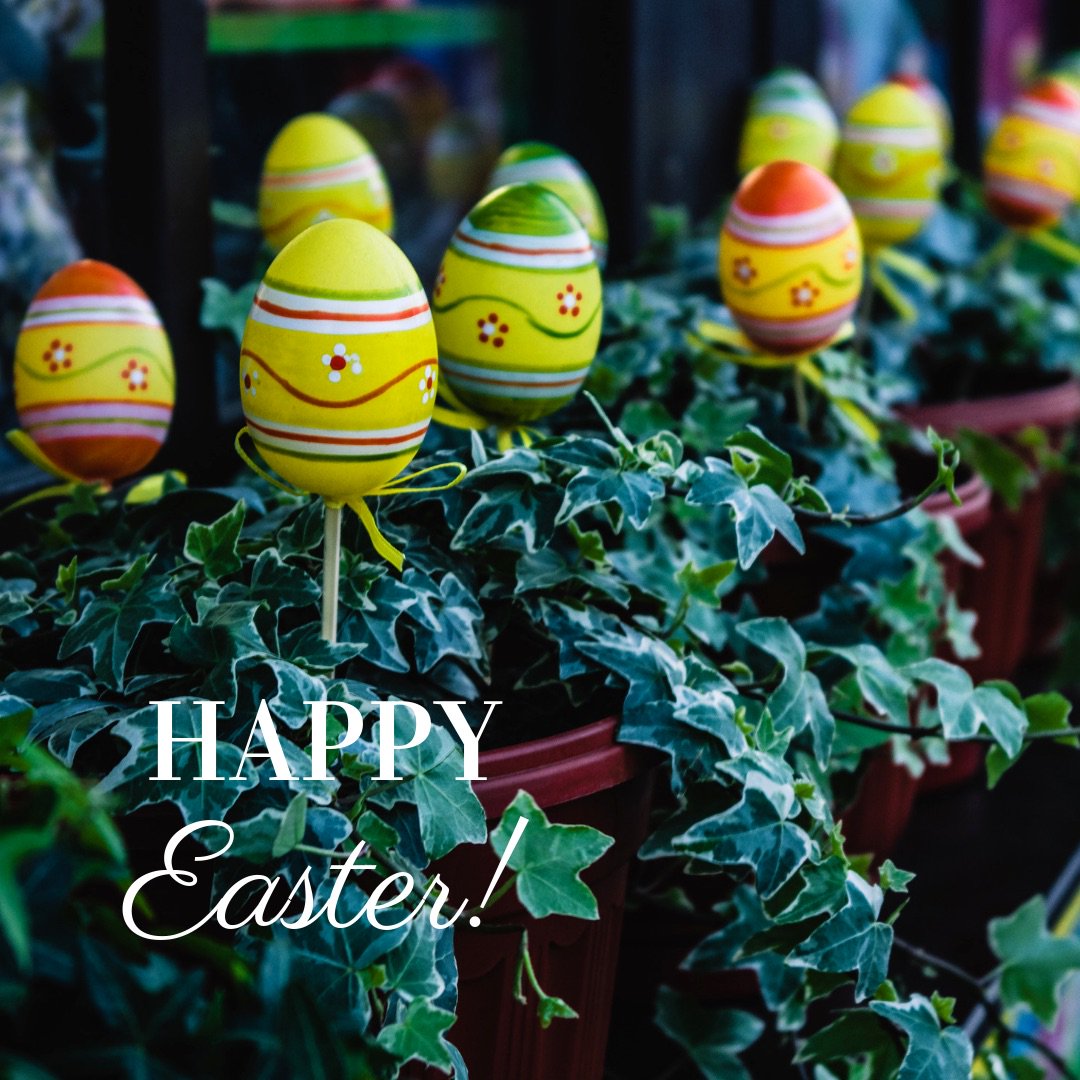 Wishing you a wonderful Easter weekend, from all at Team Taste!
.
.
.
#easter #spring #handmade #easterbunny #love #easterdecor #chocolate #eastereggs #easteregg #happyeaster  #springdecor #like #smallbusiness #catering #eventcatering #yorkshire