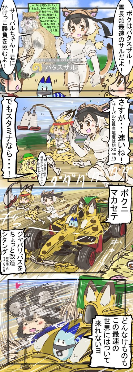 パタスザル。(再掲載)
　#けものフレンズ 