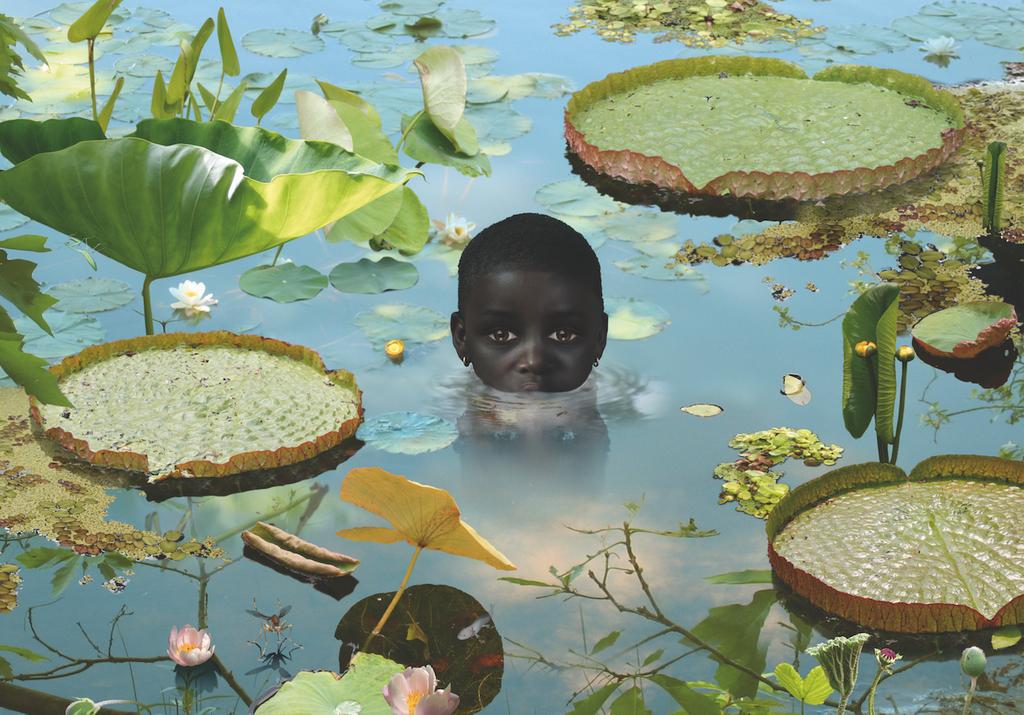 Ivorypress's tweet photo. With an aesthetic that reminds of Rousseau's paintings, #RuudvanEmpel recreates through photo-collages exotic, surrealistic and uncanny scenes. His work is featured in C PHOTO 10 'Don't Call me a Photographer!' https://t.co/qEmrpdfsy6

#Ivorypress #CPhotoProject https://t.co/rZ4hQ8QFML