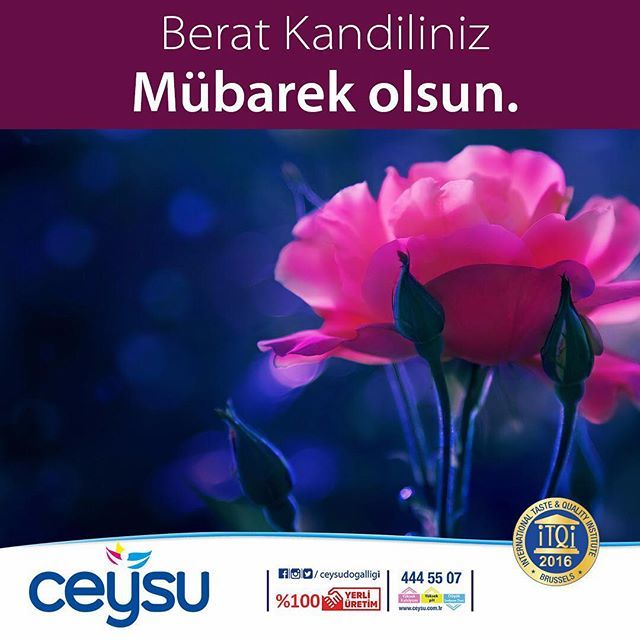 Berat Kandiliniz mübarek olsun.
.
.
.
.
#beratkandili #kandil #kandilmesajı #kandilinizmubarekolsuun #alkali #günegüzelbaşla #kendineiyilikyap #alkalisu #alkali #dogalkaynaksuyu #düşüksodyum #highcalsium #lowsodium #ceysudogalligi #antalya #turkey #doğal… bit.ly/2IICANy