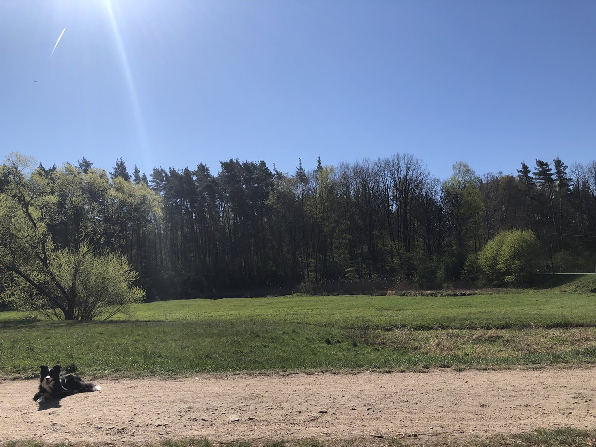 summer is coming 🐺☀️🌼🌸