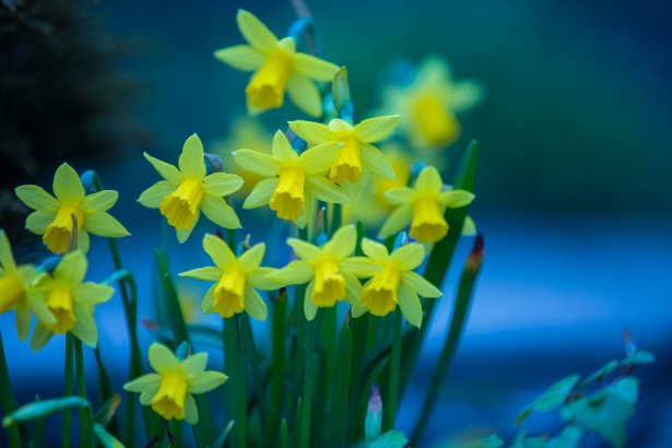 Wishing everyone a peaceful Easter weekend from all of us at Irish in Britain. 
Our office will be closed on the bank holidays but we will be back and open on Tuesday 23 April.