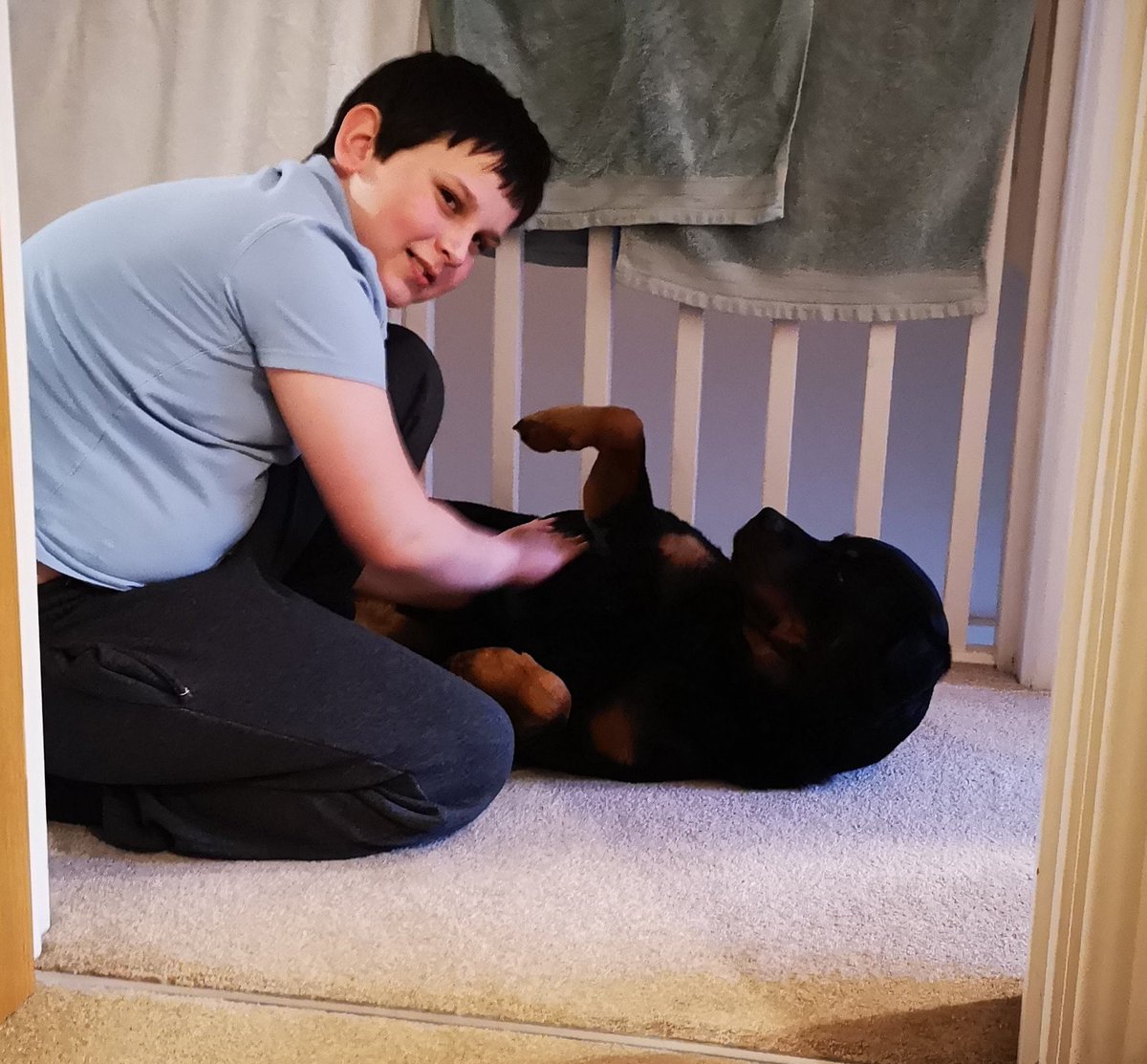 Why do some dogs just get it. #handsome #browneyedpup #autism #rescuedog #rottweiler #rescuedogsofinstagram #rescuerottweiler #dogsforgood #thewaveproject #assistantdog #clairetaylor #dogs