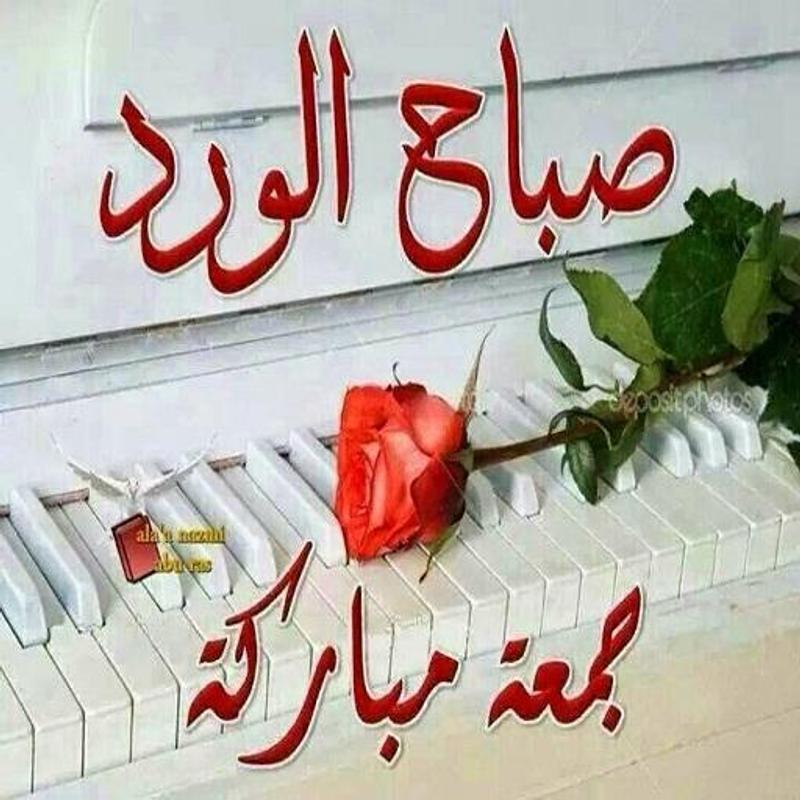 doaplus's tweet image. 