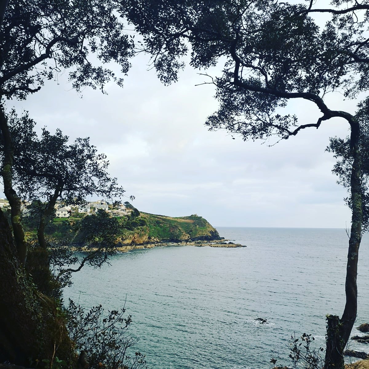 ChallengeWales's tweet photo. We've enjoyed our time in #Cornwall and we'll be departing tomorrow for Lands End then #Cardiff. #AdultAdventures #sailtraining #EasterSailing #DolphinWatching
#ShareTheAdventure https://t.co/yAP4KL0tps
