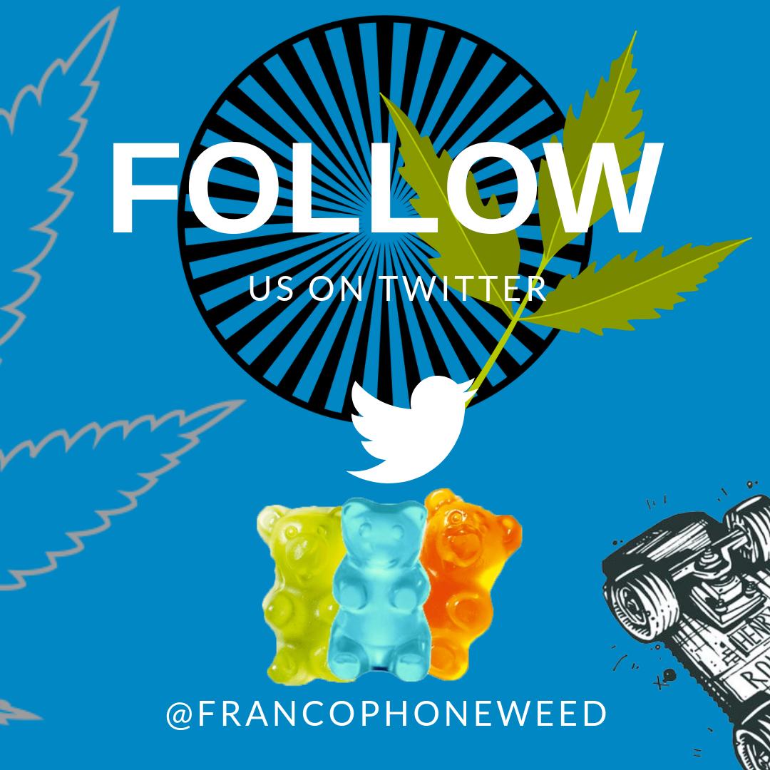 FrancophoneWeed's tweet photo. Suivez nous sur Twitter !
Bientôt un concours avec des produits CBD à gagner.
Follow us on Twitter!
Soon a competition with CBD products to be won.
#terps #cbd #cannabidiol #cbdfrance #cbdeurope #cannabinoids #CannabisNews #cannabis #HEMP #cbdlegal #weed #chanvre #weedlegal #grow https://t.co/t5eZKkGU8I