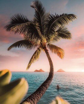 traveltrait's tweet photo. Sunsets in Hawaii 😍🙌 https://t.co/lo3M8y1drk
