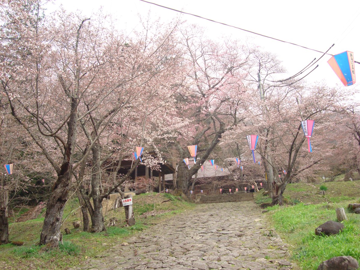 長野電鉄 公式 No Twitter 中野市の東山公園はこの土日が桜の見ごろです ここの名物は だんご ではなく あげまんじゅう あげ まんじゅう はこの時期の販売だけです そのほかにも日本土人形資料館や大悲閣観音堂といった見所もあります 足を延ばしてみて 長野電鉄 公式 No Twitter 中野市の東山公園はこの土日が桜の見ごろです ここの名物は だんご ではなく あげまんじゅう あげ まんじゅう はこの時期の販売だけです そのほかにも日本土人形資料館や大悲閣観音堂といった見所もあります 足を延ばしてみて